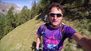 UTMR 2017