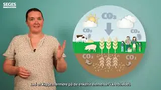 Explainer: Hvorfor tæller afgrødernes CO2-optag ikke positivt i klimaregnskabet?