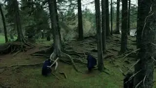 Druid Wrath – Nature Reclaim