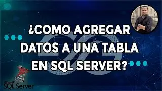 ¿COMO AGREGAR DATOS a UNA TABLA en SQL Server?