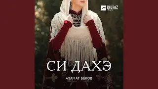 Си дахэ