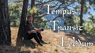 Carmina Burana No.153 - Tempus Transit Gelidum (in the style of Ensemble für Frühe Musik Augsburg)