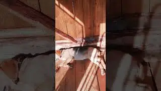 Я Просто хочу спать!