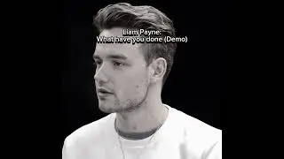 Liam Payne - Look What have you done (Demo)