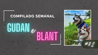 COMPILADO #2 - GUDAN O HUSKY