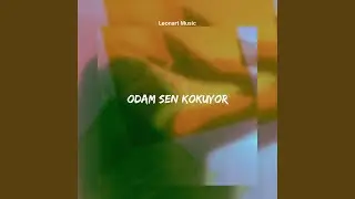 Odam Sen Kokuyor