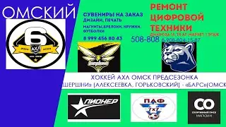 ХОККЕЙ "Кубок Добрых дел" "Шершни" (Алексеевка, Горьковское) - "Барс" (Омск) предсезонные игры