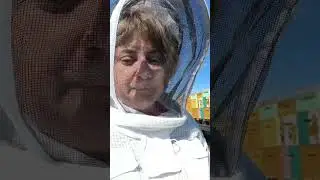 ВЫЕХАЛИ НА РАПС!