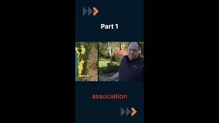 CEO Walkthrough: Transblue Snow Removal Masterclass (Part 1)