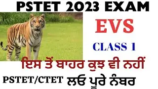EVS || Class-1 || Family and Friends || PTET | CTET ||