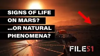 Life on Mars, or Natural Phenomena?