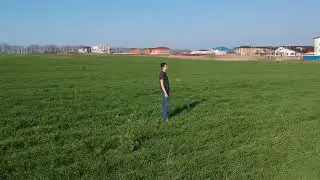 Зарисовка
