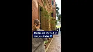 Things we spotted on campus today 💙