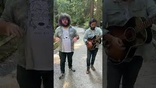 Guess the song!