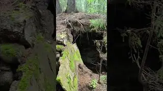 "Ледник" начала 20-го века в лесу. История русского быта