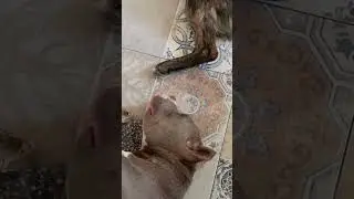 Здоровый сон — это ОЧЕНЬ ВАЖНО🤨