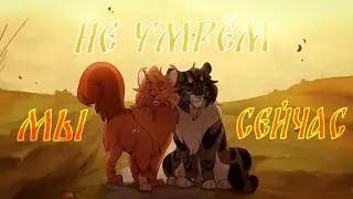 Коты Воители Ежевика и Беличья Звезда: Мы не умрём сейчас [Panheads Band]