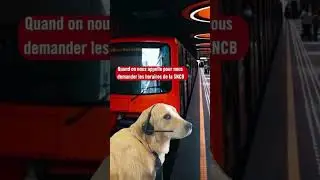 STIB vs SNCB