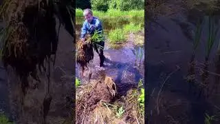 Как достать траву из воды ?)