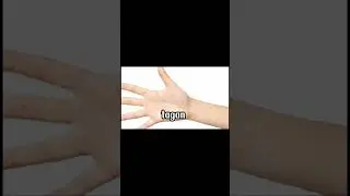 senjata legendaris yang tidak bisa di kalahkan kalo emak indo membawa ya