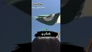 🇵🇰💚💚