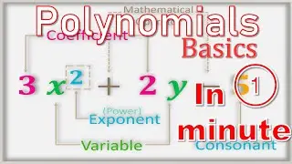 Polynomials Basics | What is Polynomials #polynomials #class10 #class9 #math #shorts