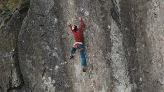E11 LEXICON - STEVE'S HUGE WHIPPER