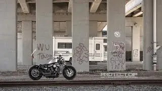 Harley Sportster Forty-Eight (48) 2013 - Protect_DIP
