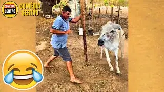 IMPOSSÍVEL NÃO RIR! Vídeos Engraçados 2024