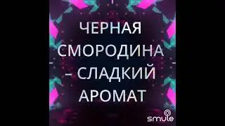 Черная Смородина