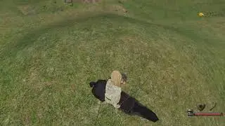 Warband Funny Bugs