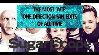 WTF One Direction fan edits