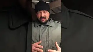 Щенки от пары Муратта и Нукер (2*2 на Хамаза)