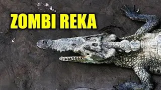 Zabranjeno Za Ljude - Najopasnije Reke na Nasoj Planeti