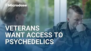 Veterans Want Access to Psychedelics