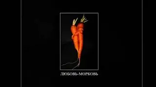 Смешные фото моркови попробуй не засмеяться 