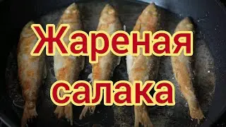 Pan-fried herring