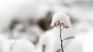 Снег кружится
