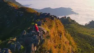 Discovers The Soothing Sounds Of Nature 🥰 #naturelovers #naturelover #beautifulnature #naturevibes