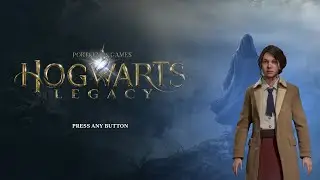 ТЫ ВОЛШЕБНИЦА ГАРРИ Hogwarts Legacy