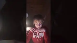 11 неделя