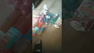 shorts, зелёный пакет, часть 7, магазин Да!