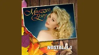 Gecenin Matemini