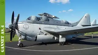 Gannet AS.4 - aircraft - HD