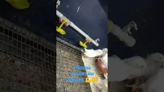 8 марта 2023 г.