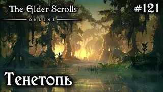 ТЕНЕТОПЬ ✅TESO✅ 