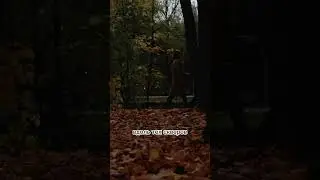 Слушайте трек «Все пруды» на всех музыкальных площадках!