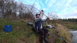 Шоша , разведка новых фидерных локаций!