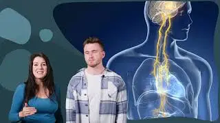 Brain Science of Happiness: Demo eines Inuput-Videos aus dem Programm