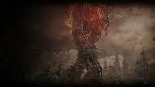 Bro was NOT Blade Of Miquella 🤣 #eldenring #eldenringgameplay